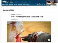 Bild zum Artikel: In Frankreich: Bulle spießt spanischen Torero auf – tot