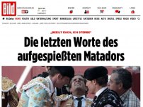 Bild zum Artikel: „Beeilt euch, ich sterbe“ - Die letzten Worte des aufgespießten Matadors