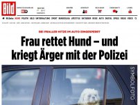 Bild zum Artikel: Aus Hitze-Auto - Frau rettet Hund – und kriegt Ärger mit Polizei