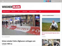 Bild zum Artikel: Schon wieder! Zehn Afghanen schlugen am Linzer Hbf brutal zu