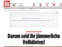 Bild zum Artikel: Liebe G20-Randalierer - Darum seid Ihr jämmerliche Vollidioten!