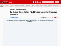 Bild zum Artikel: Vorstoß zur Flüchtlingsverteilung - EU-Abgeordnete Keller: Flüchtlingsgruppen in Osteuropa ansiedeln