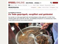 Bild zum Artikel: Hundefleisch-Festival: Zu Tode geprügelt, vergiftet und gehäutet