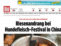 Bild zum Artikel: Arme, süße Vierbeiner - Riesenandrang in China bei Hundefleisch-Festival