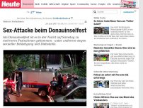 Bild zum Artikel: Mehrere Festnahmen: Sex-Attacke beim Donauinselfest