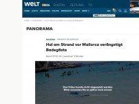 Bild zum Artikel: Panik auf Urlaubsinsel: Hai an Strand vor Mallorca verängstigt Badegäste