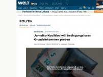 Bild zum Artikel: Schleswig-Holstein: Jamaika-Koalition will bedingungsloses Grundeinkommen proben