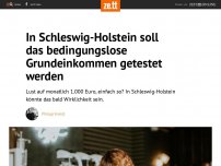 Bild zum Artikel: In Schleswig-Holstein soll das bedingungslose Grundeinkommen getestet werden