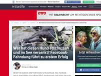 Bild zum Artikel: Wer hat diesen Hund erschossen und im See versenkt? Facebook-Fahndung führt zu erstem Erfolg