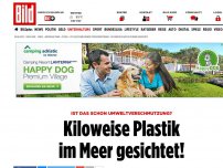 Bild zum Artikel: Umweltverschmutzung? - Kiloweise Plastik im Meer gesichtet!