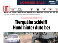 Bild zum Artikel: Video aus der Türkei - Tierquäler schleift Hund hinter Auto her