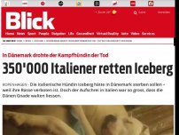 Bild zum Artikel: In Dänemark drohte Kampfhündin der Tod: 350'000 Italiener retten Iceberg