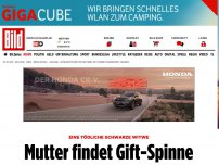 Bild zum Artikel: Tödliche Schwarze Witwe - Mutter findet Gift-Spinne in Supermarkt-Trauben