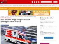 Bild zum Artikel: Vorfall in Drensteinfurt - Frau von vier Doggen angefallen und lebensgefährlich verletzt