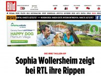 Bild zum Artikel: Die irre Taillen-OP - Sophia Wollersheim zeigt bei RTL ihre Rippen