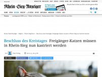 Bild zum Artikel: Beschluss des Kreistages: Freigänger-Katzen müssen in Rhein-Sieg nun kastriert werden