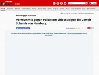 Bild zum Artikel: Proteste gegen G20-Gipfel - Vermummte gegen Polizisten! Videos zeigen die Gewalt-Schande von Hamburg