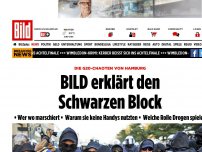 Bild zum Artikel: G20-Chaoten von Hamburg - BILD erklärt den Schwarzen Block