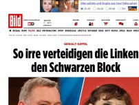 Bild zum Artikel: Gewalt-Gipfel - So irre verteidigen die Linken den schwarzen Block