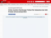 Bild zum Artikel: Ausschreitungen bei G20-Protesten - Grüne machen Hamburger Polizei für Eskalation bei G20-Protest mitverantwortlich