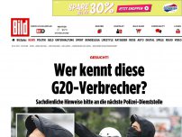 Bild zum Artikel: Gesucht! - Wer kennt diese G20-Verbrecher?