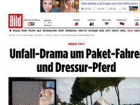 Bild zum Artikel: Auf der Bundesstraße - Unfall-Drama: Paket-Fahrer und Dressur-Pferd tot