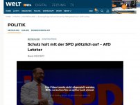 Bild zum Artikel: Sonntagsfrage: Schulz holt mit der SPD plötzlich auf – Afd Letzter