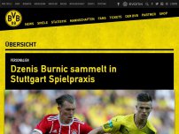 Bild zum Artikel: Dzenis Burnic sammelt in Stuttgart Spielpraxis
