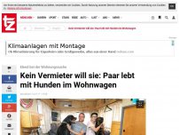 Bild zum Artikel: Kein Vermieter will sie: Paar lebt mit Hunden im Wohnwagen