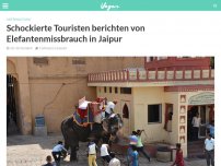 Bild zum Artikel: Schockierte Touristen berichten von Elefantenmissbrauch in Jaipur