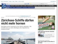 Bild zum Artikel: Zu laut: Zürichsee-Schiffe dürfen nicht mehr hornen
