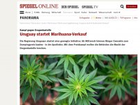 Bild zum Artikel: Kampf gegen Drogen-Kartelle: Uruguay startet Marihuana-Verkauf