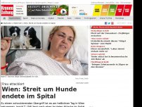 Bild zum Artikel: Wien: Streit um 'unreinen' Hund endet im Spital