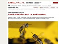Bild zum Artikel: Falter, Heuschrecken und Fliegen: Umweltministerium warnt vor Insektensterben