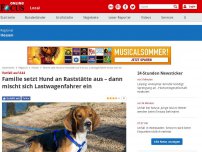 Bild zum Artikel: Vorfall auf A44 - Familie setzt Hund an Raststätte aus – dann mischt sich Lastwagenfahrer ein