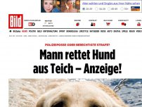 Bild zum Artikel: Thüringen - Mann rettet Hund aus Teich – Anzeige!