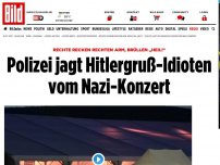 Bild zum Artikel: Rechte recken rechten Arm - Polizei jagt Hitlergruß- Idioten vom Nazi-Konzert