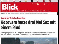 Bild zum Artikel: Sauerei auf St. Galler Bauernhof: Kosovare hatte drei mal Sex mit einem Rind