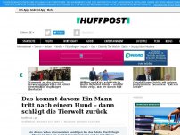 Bild zum Artikel: Das kommt davon: Ein Mann tritt nach einem Hund – dann schlägt die Tierwelt zurück