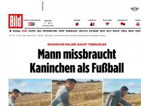 Bild zum Artikel: Jetzt sucht ihn die Polizei - Mann missbraucht Kaninchen als Fußball