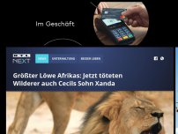 Bild zum Artikel: Größter Löwe Afrikas: Jetzt töteten Wilderer auch Cecils Sohn Xanda