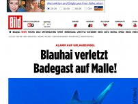 Bild zum Artikel: Alarm auf Urlaubsinsel - Blauhai verletzt Badegast auf Malle!