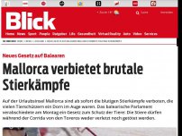 Bild zum Artikel: Neues Gesetz auf Balearen: Mallorca verbietet brutale Stierkämpfe