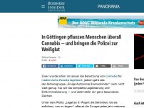 Bild zum Artikel: In Göttingen pflanzen Menschen überall Cannabis — und bringen die Polizei zur Weißglut