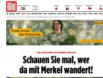 Bild zum Artikel: Kanzlerin im Urlaub - Schauen Sie mal, wer da mit Merkel wandert!