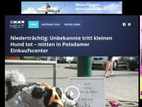 Bild zum Artikel: Niederträchtig: Unbekannte tritt kleinen Hund tot – mitten in Potsdamer Einkaufscenter
