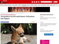 Bild zum Artikel: Vor Potsdamer Einkaufszentrum - Tierquälerin bricht wehrlosem Chihuahua alle Rippen