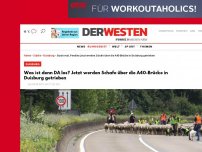 Bild zum Artikel: Was ist denn DA los? Jetzt werden Schafe über die A40-Brücke in Duisburg getrieben