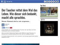 Bild zum Artikel: Der Taucher rettet dem Wal das Leben. Wie dieser sich bedankt, macht alle sprachlos.