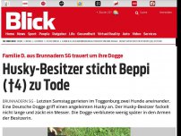 Bild zum Artikel: Familie D. aus Brunnadern SG trauert um ihre Dogge: Husky-Besitzer sticht Beppi (†4) zu Tode
